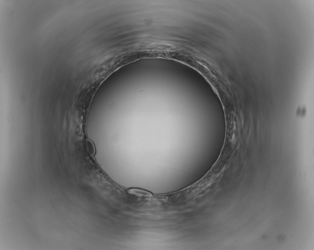 X0000091581013200709051056