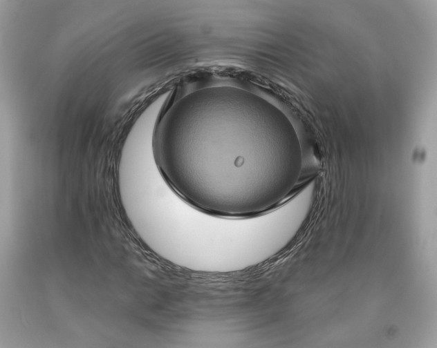 X0000091581014200709051056