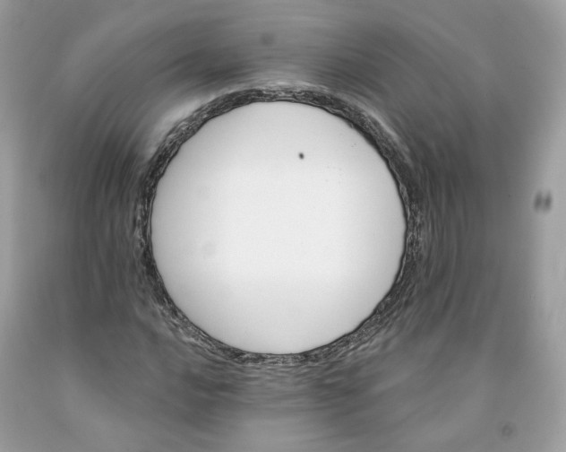 X0000091581016200709051056