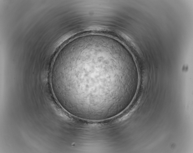 X0000091581017200709051056