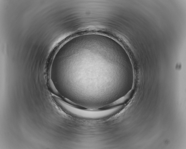 X0000091581018200709051056