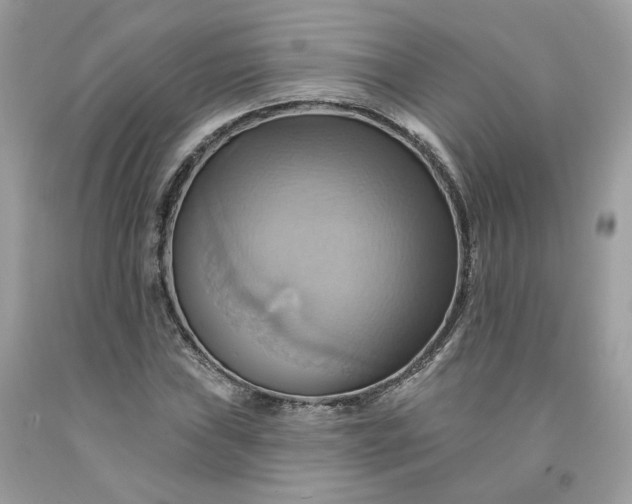 X0000091581019200709051056