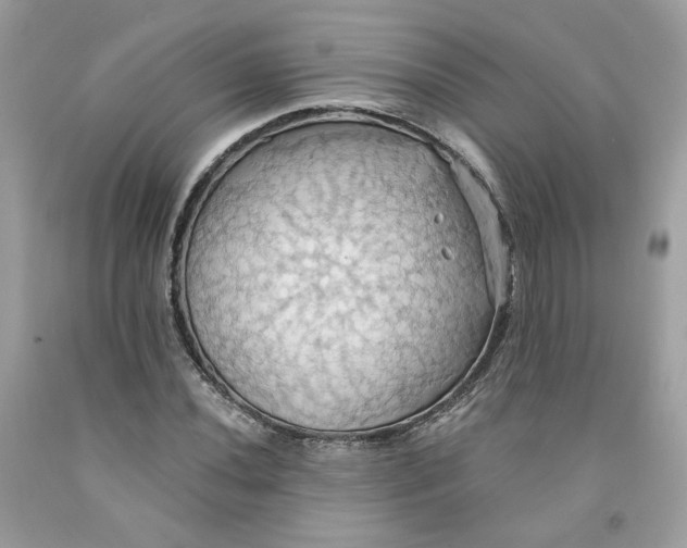 X0000091581020200709051056