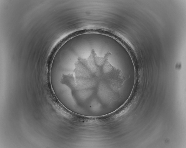 X0000091581021200709051056