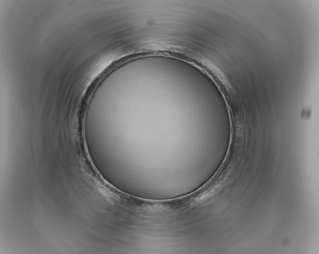 X0000091581023200709051056