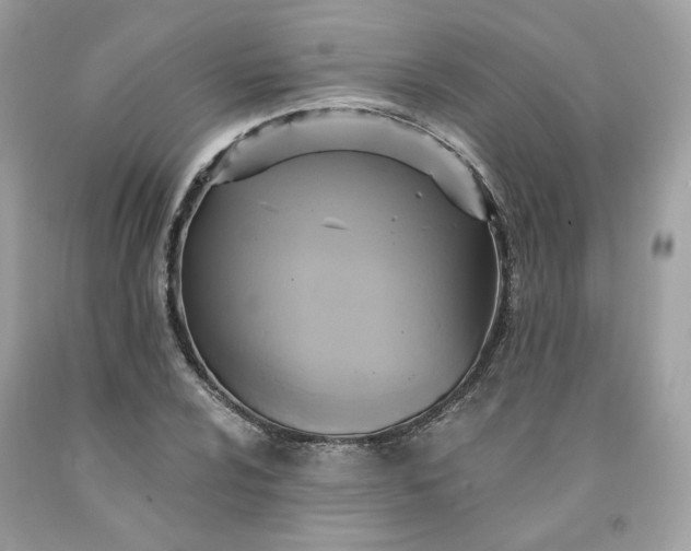 X0000091581024200709051056