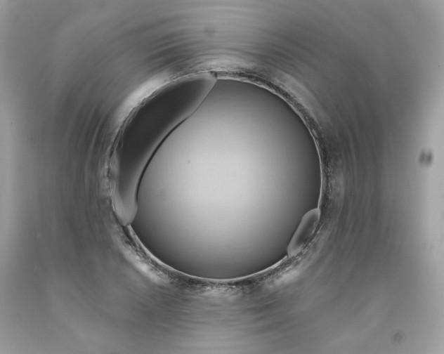 X0000091581026200709051056