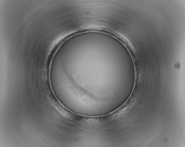 X0000091581027200709051056