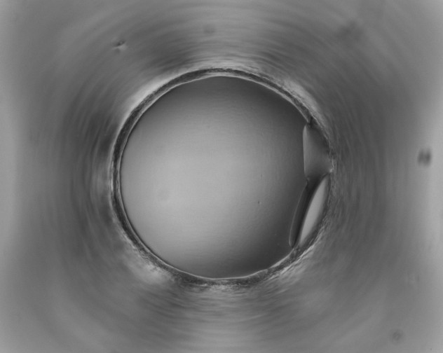 X0000091581028200709051056