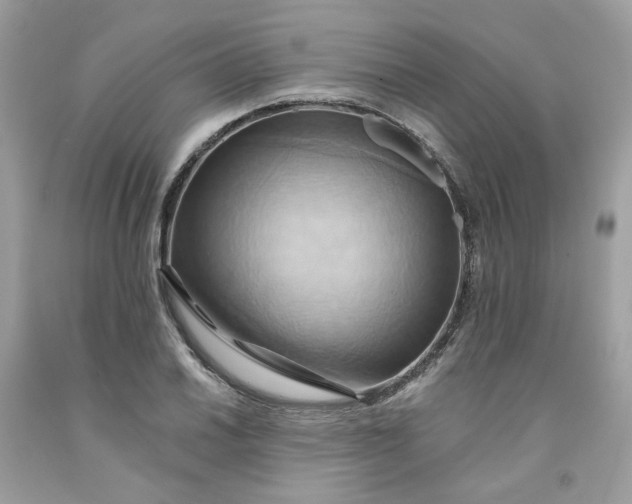 X0000091581030200709051056