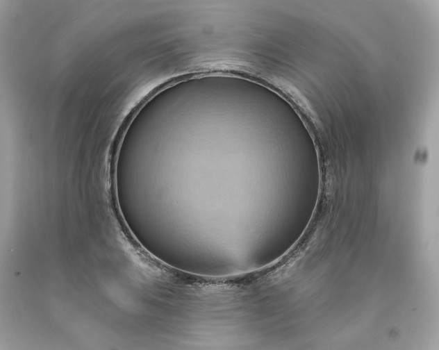 X0000091581031200709051056