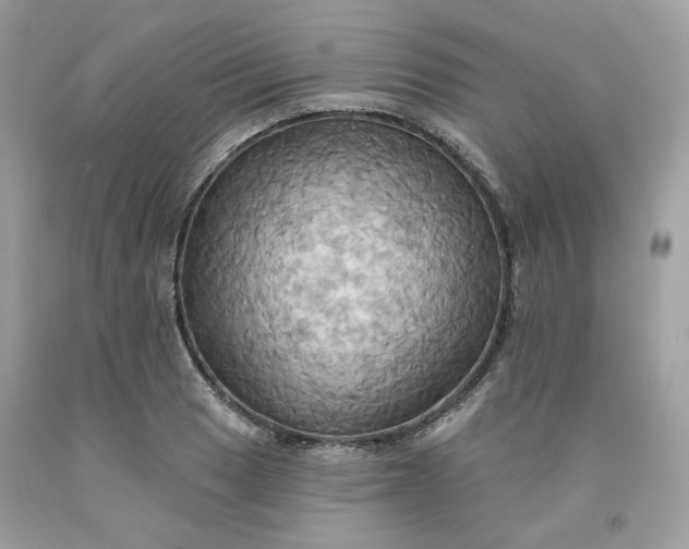 X0000091581033200709051056