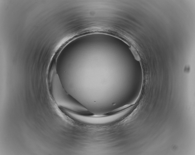 X0000091581034200709051056