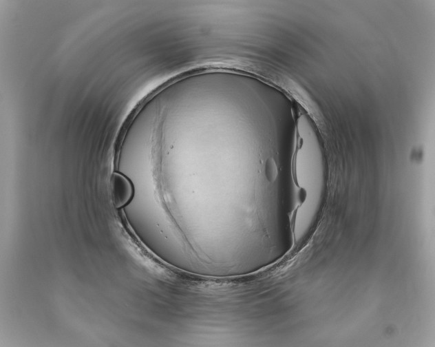 X0000091581036200709051056