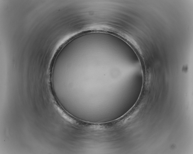 X0000091581037200709051056