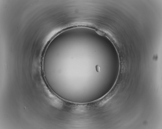 X0000091581038200709051056