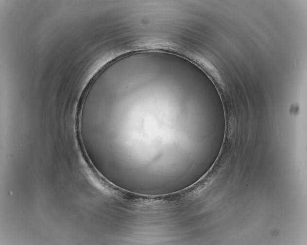 X0000091581039200709051056