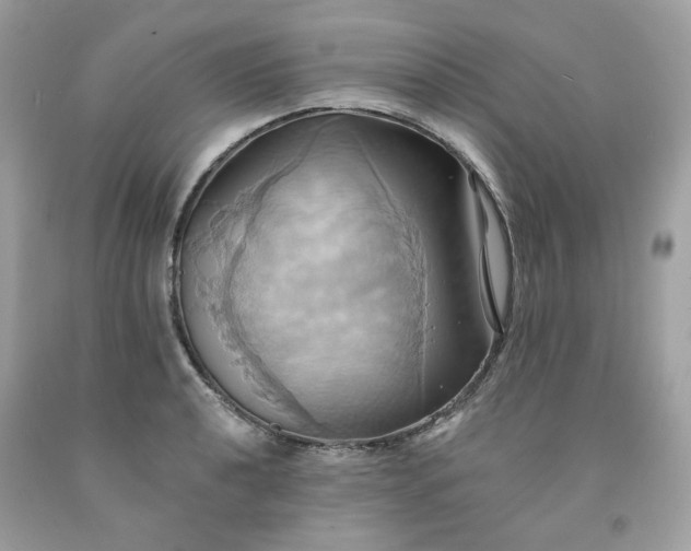 X0000091581040200709051056