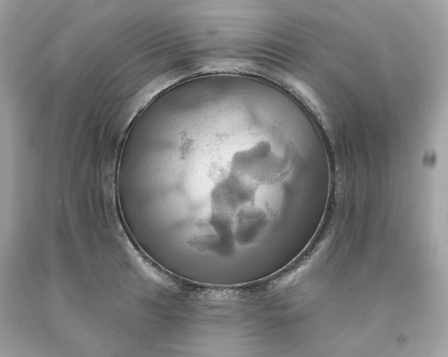 X0000091581041200709051056