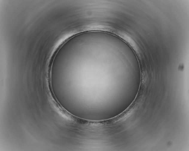 X0000091581043200709051056