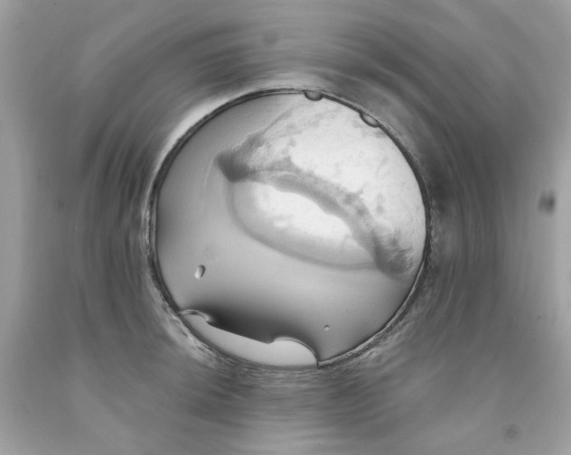 X0000091581044200709051056