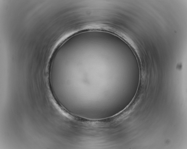 X0000091581045200709051056