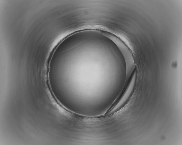 X0000091581046200709051056