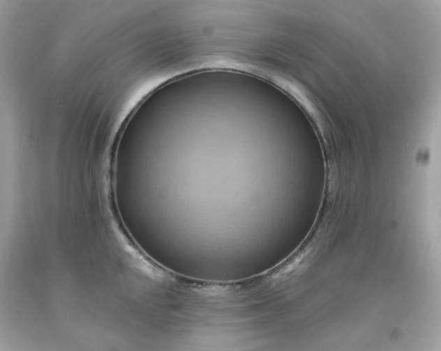 X0000091581048200709051056