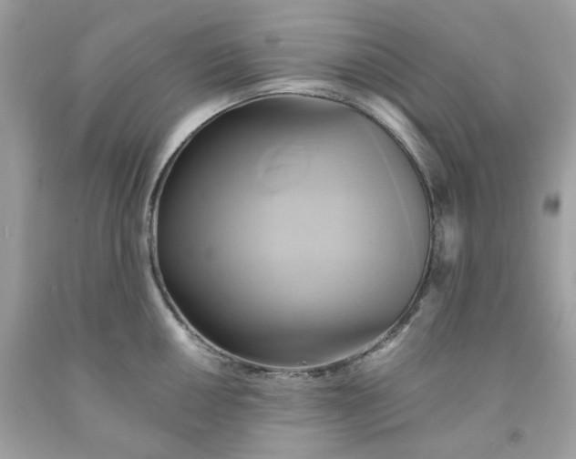 X0000091581050200709051056