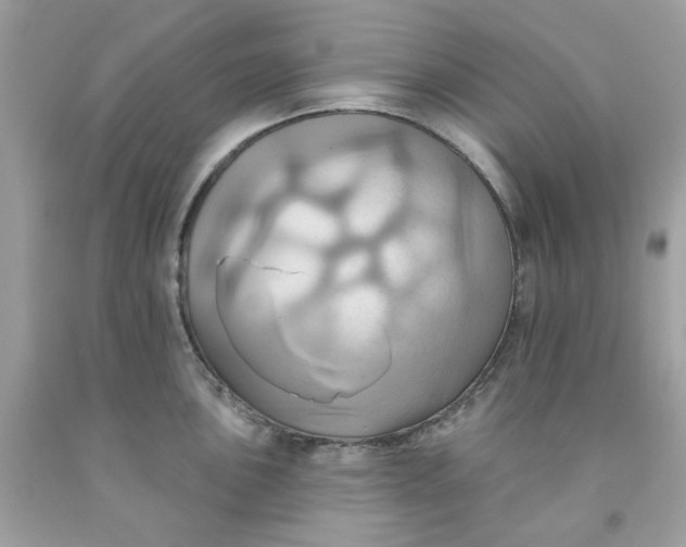 X0000091581051200709051056