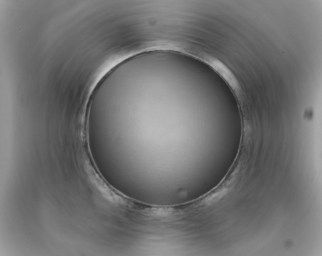 X0000091581052200709051056