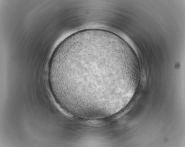 X0000091581053200709051056