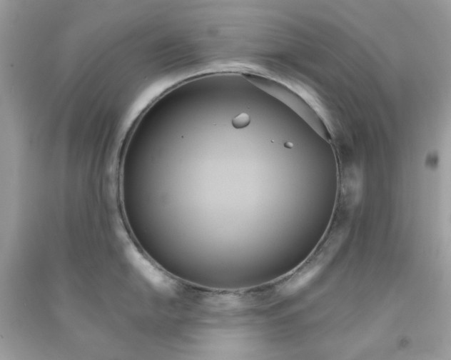 X0000091581054200709051056