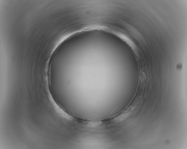 X0000091581055200709051056