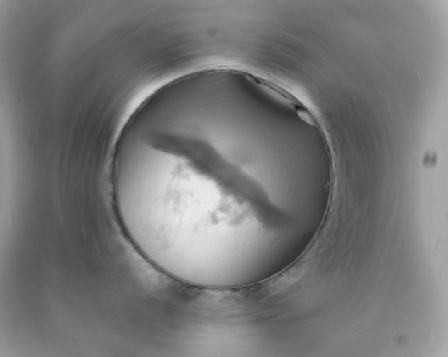 X0000091581056200709051056