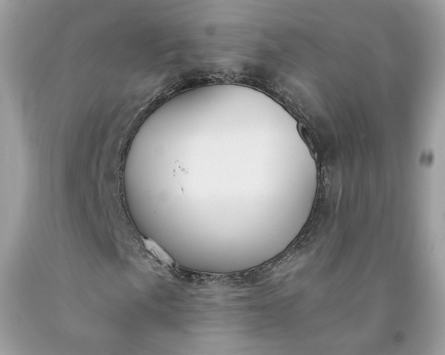 X0000091581057200709051056