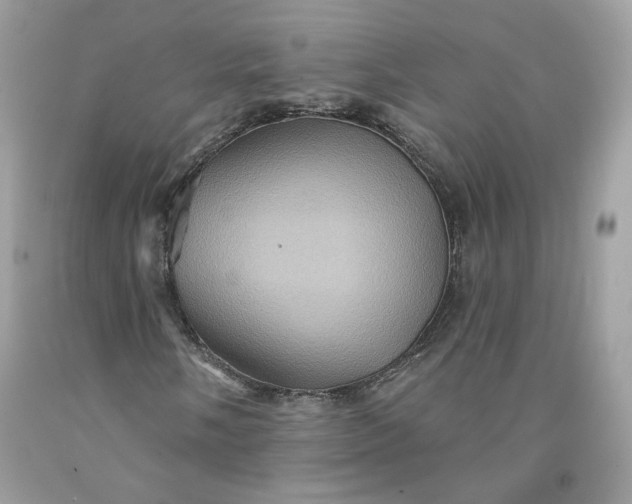 X0000091581058200709051056