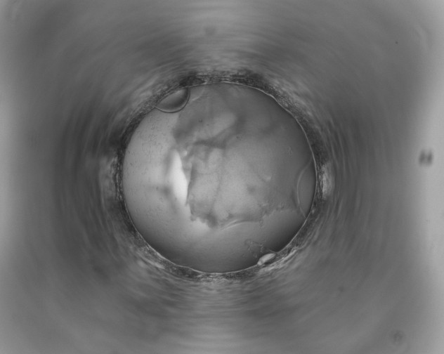 X0000091581059200709051056