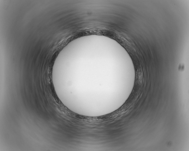 X0000091581060200709051056