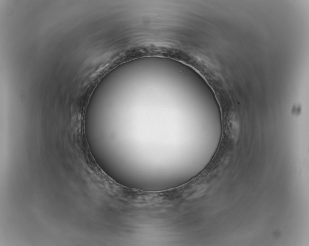 X0000091581061200709051056