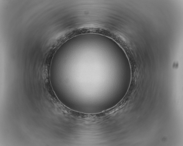 X0000091581062200709051056