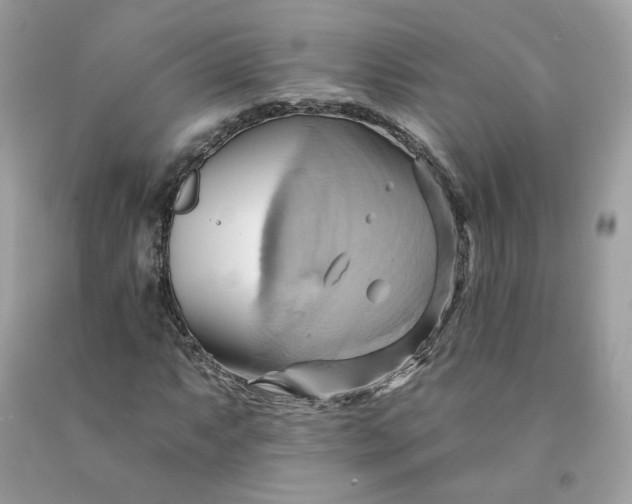 X0000091581063200709051056