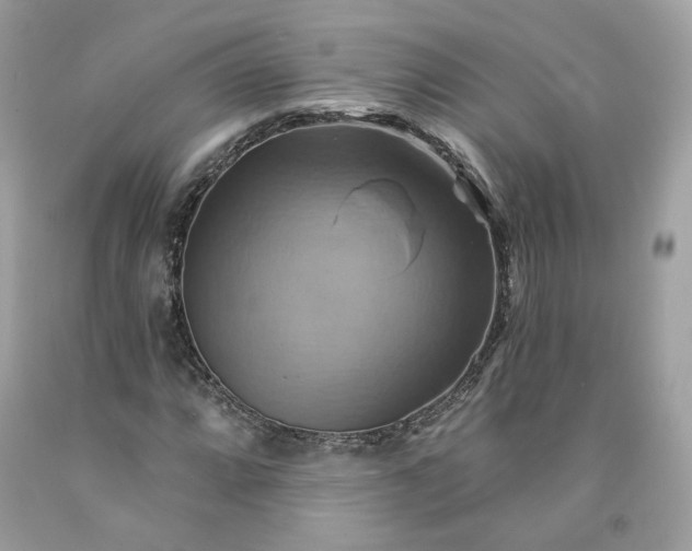 X0000091581064200709051056