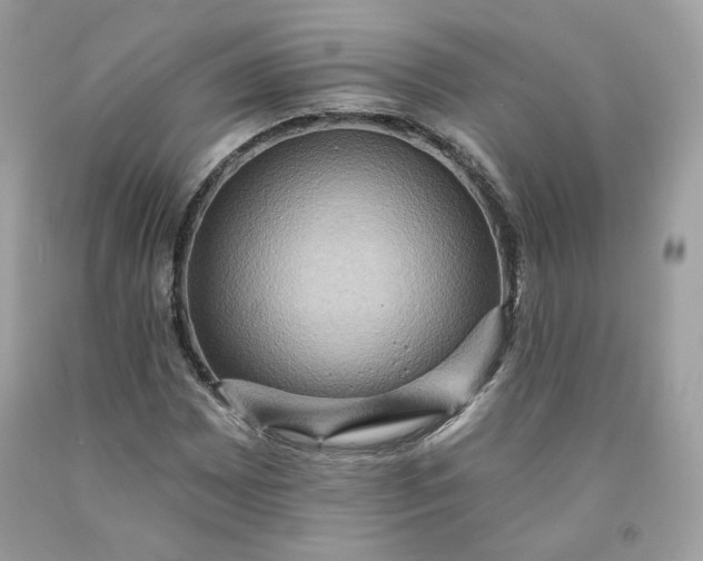 X0000091581065200709051056