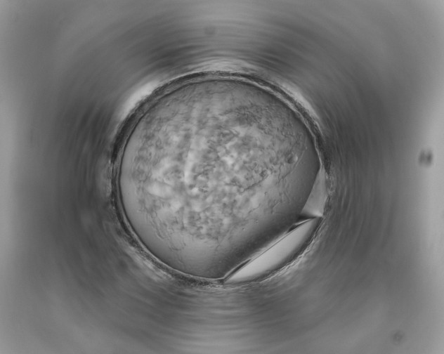 X0000091581067200709051056