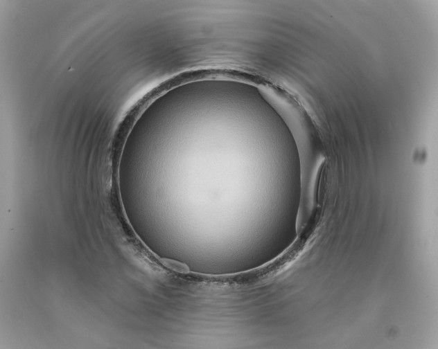 X0000091581069200709051056