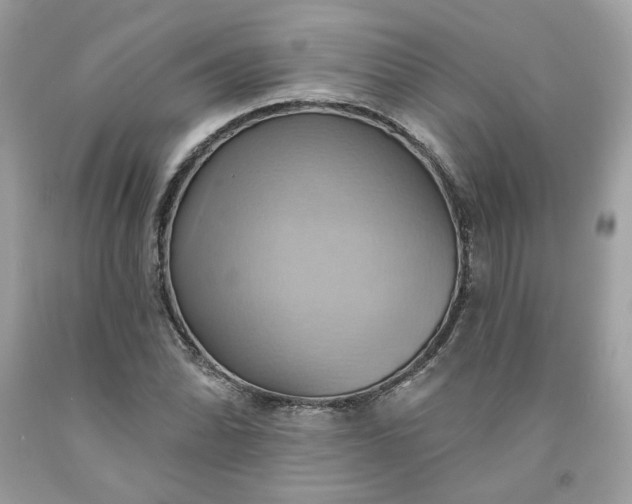 X0000091581070200709051056