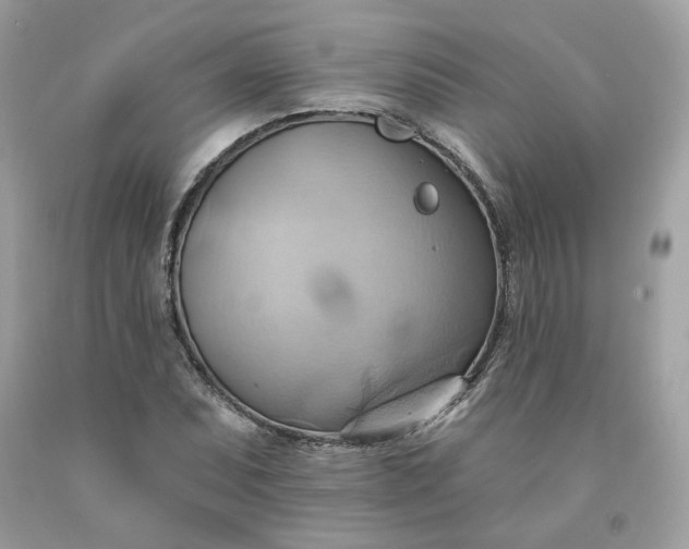 X0000091581071200709051056