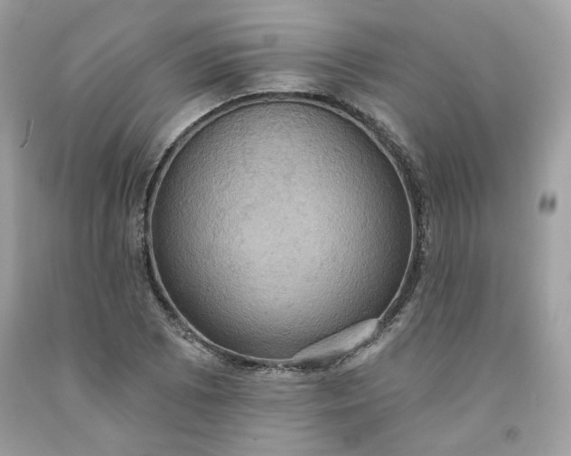 X0000091581073200709051055