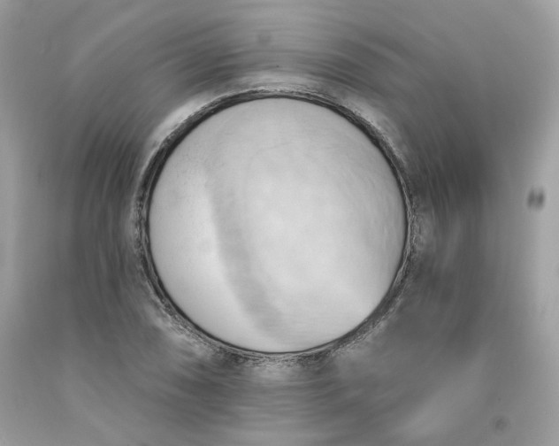 X0000091581074200709051055